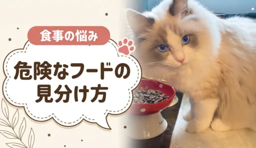 買わない方がいいキャットフードとは？パッケージ裏で分かる見分け方