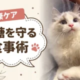 【獣医師監修】糖尿病の猫のキャットフード｜市販で選ぶ前の優先順位と炭水化物量の比較