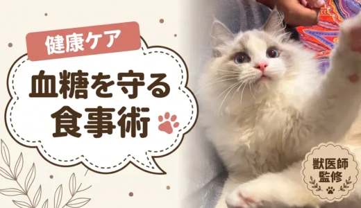 【獣医師監修】糖尿病の猫のキャットフード｜市販で選ぶ前の優先順位と炭水化物量の比較