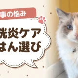 猫の膀胱炎とキャットフード｜市販8商品の半分はミネラル値が非公表