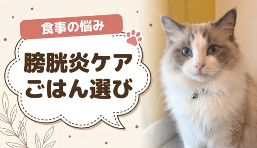 猫の膀胱炎とキャットフード｜市販8商品の半分はミネラル値が非公表