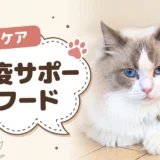 猫の免疫力を高める市販フードの選び方｜乳酸菌・オリゴ糖配合のおすすめ8選