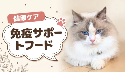 猫の免疫力を高める市販フードの選び方｜乳酸菌・オリゴ糖配合のおすすめ8選