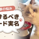 食べてはいけないキャットフード実名リストの出どころと、避けるべき成分・市販フードの安全性