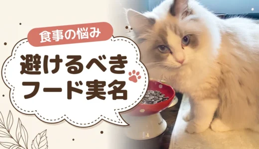 食べてはいけないキャットフードの実名リストはどこで読める？出どころ（2018年週刊新潮）と危険とされた成分の事実