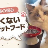 臭くないキャットフード｜フードのにおいと便のにおい、6商品を100g単価で比較