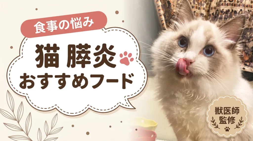 猫の膵炎に低脂肪フードは必要？【獣医師監修】療法食の脂肪量を計算しました