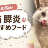 猫の膵炎に低脂肪フードは必要？【獣医師監修】療法食の脂肪量を計算しました