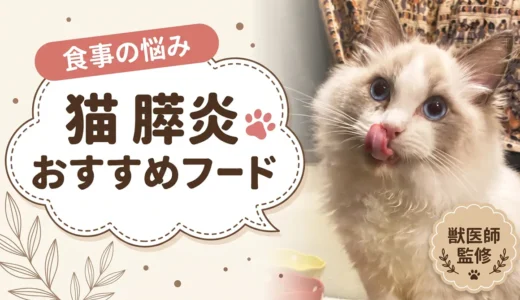 猫の膵炎に低脂肪フードは必要？【獣医師監修】療法食の脂肪量を計算しました