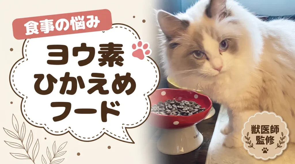 ヨウ素が少ないキャットフード｜原材料表示を1つずつ確認した結果【獣医師監修】