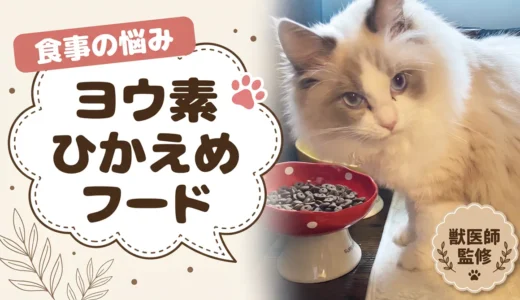 ヨウ素が少ないキャットフード｜原材料表示を1つずつ確認した結果【獣医師監修】
