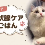 猫の甲状腺機能亢進症の市販フード｜ヨウ素量と海藻の有無を5商品で確認しました