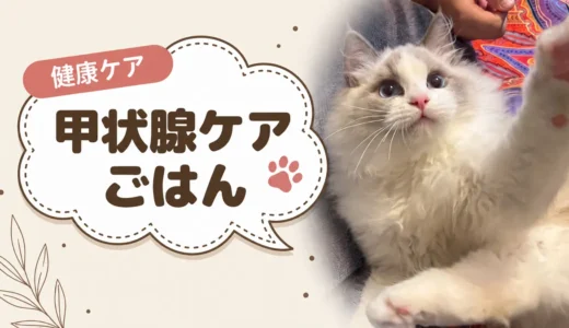 猫の甲状腺機能亢進症の市販フード｜ヨウ素量と海藻の有無を5商品で確認しました