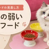 お腹の弱い猫のキャットフードの選び方｜下痢・軟便で受診すべきサインと市販フードの見直し方【獣医師監修】（テスト3045）