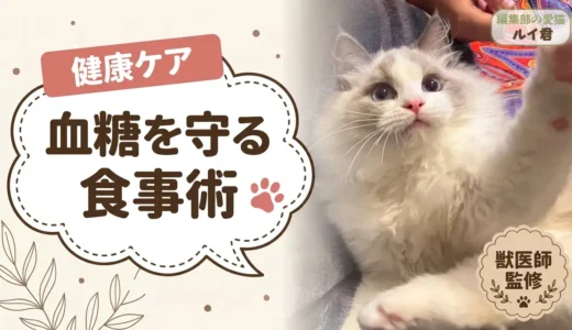 【獣医師監修】糖尿病の猫のキャットフード｜市販で選ぶ前の優先順位と炭水化物量の比較