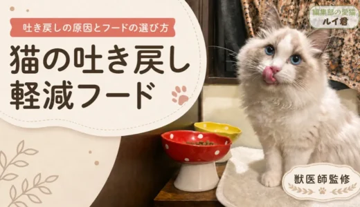 【獣医師監修】猫の吐き戻し軽減フードおすすめランキング｜食後すぐ吐く原因と市販品の選び方