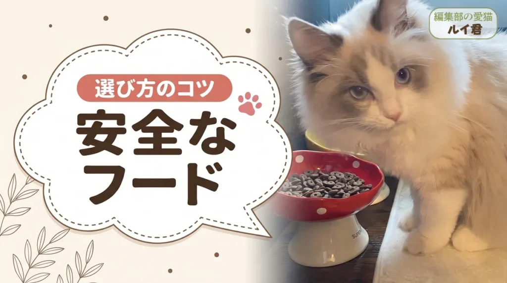 市販キャットフード安全ランキング｜原材料の透明性で選んだ安全なフード