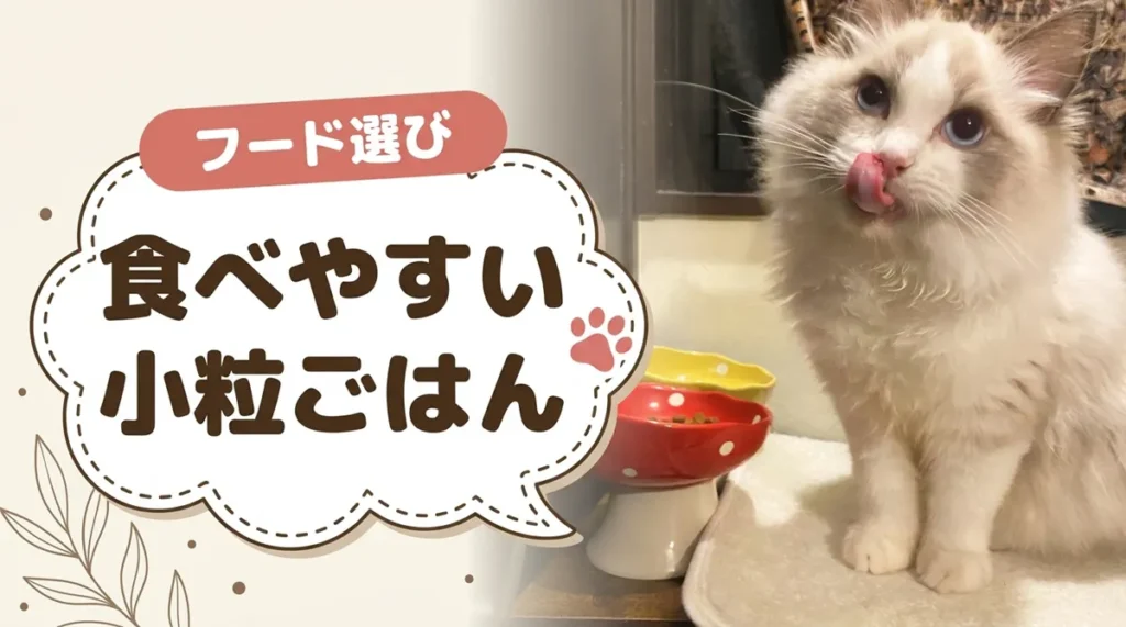 小粒のキャットフードおすすめ10選|市販で買える商品とシニア・子猫向けの選び方