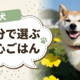 柴犬のドッグフードおすすめ10選｜国産・市販の柴専用フードも成分表で比較【獣医師監修】